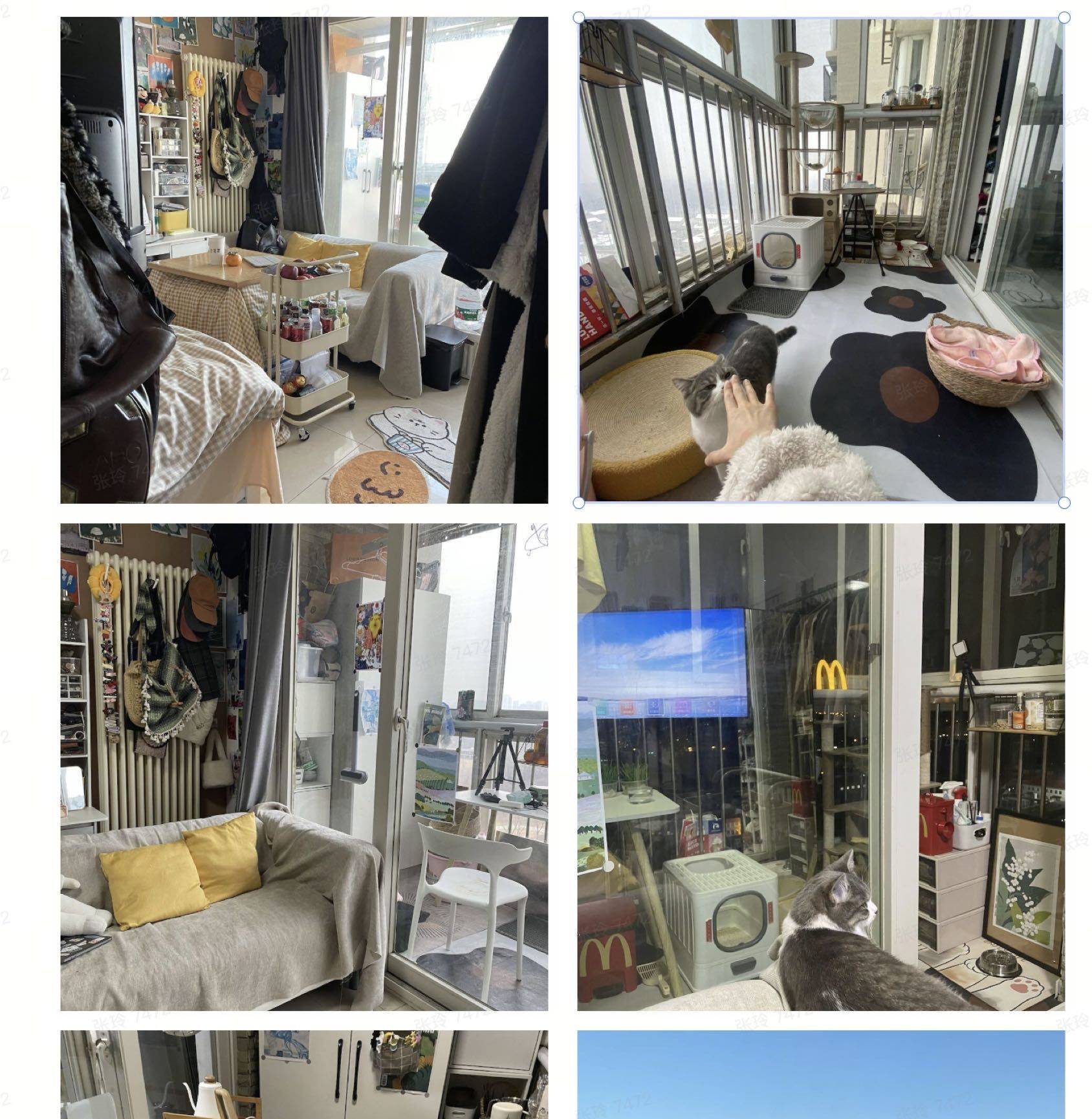 Beijing-Chaoyang-老房,Hustle & Bustle