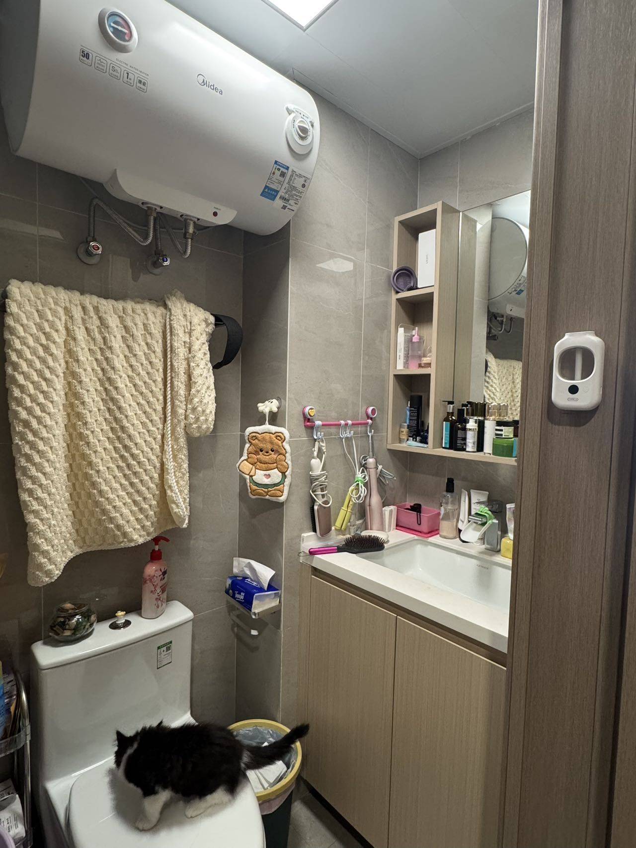 Shanghai-Baoshan-Cozy Home,Clean&Comfy,No Gender Limit,Hustle & Bustle,Pet Friendly