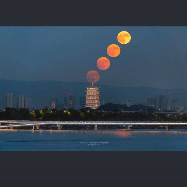 米豆