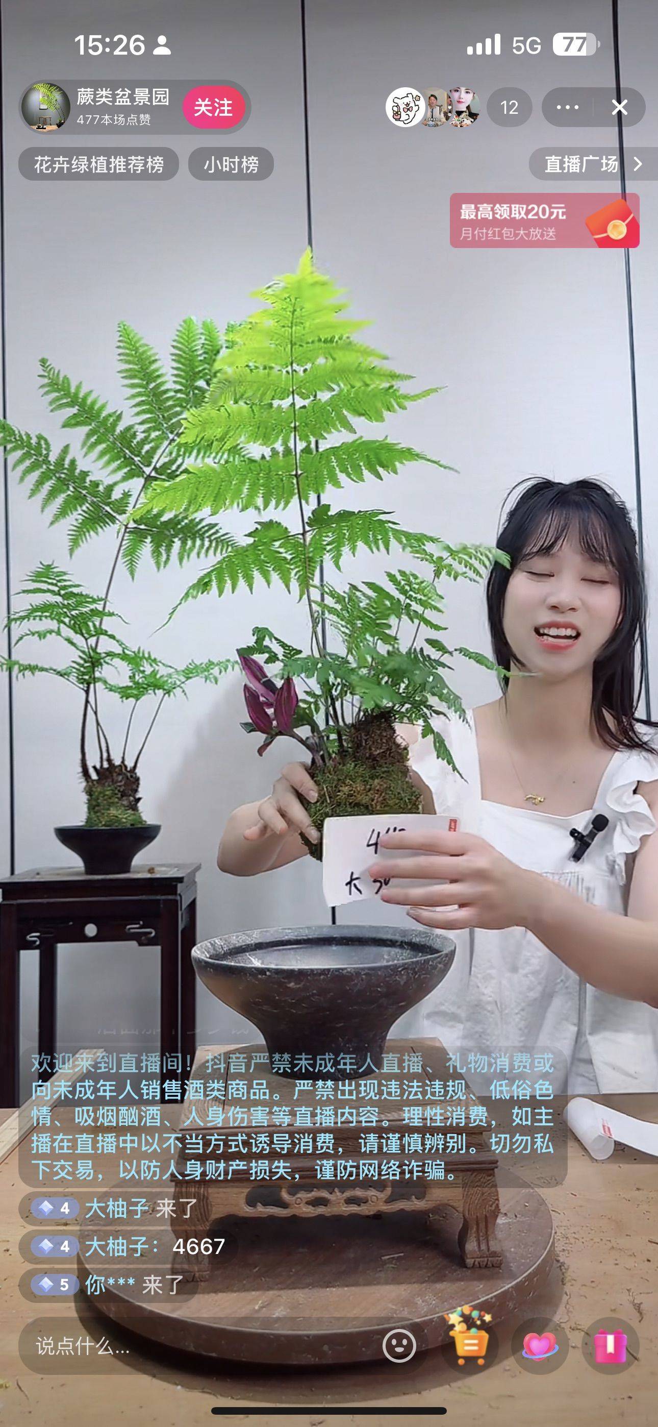林