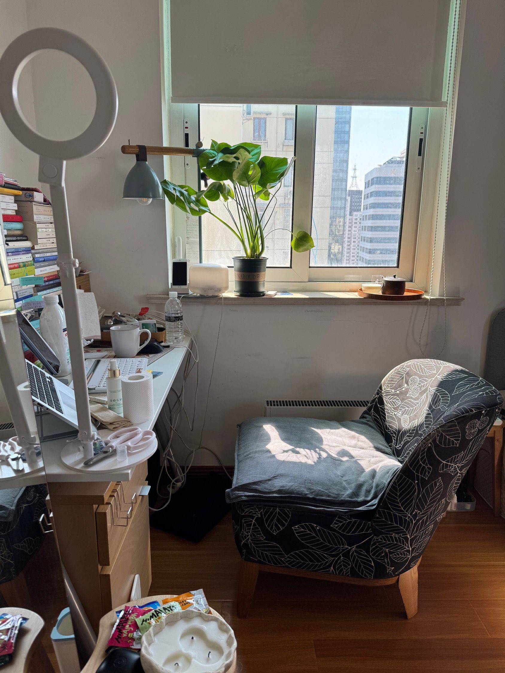 上海-静安-宠物友好