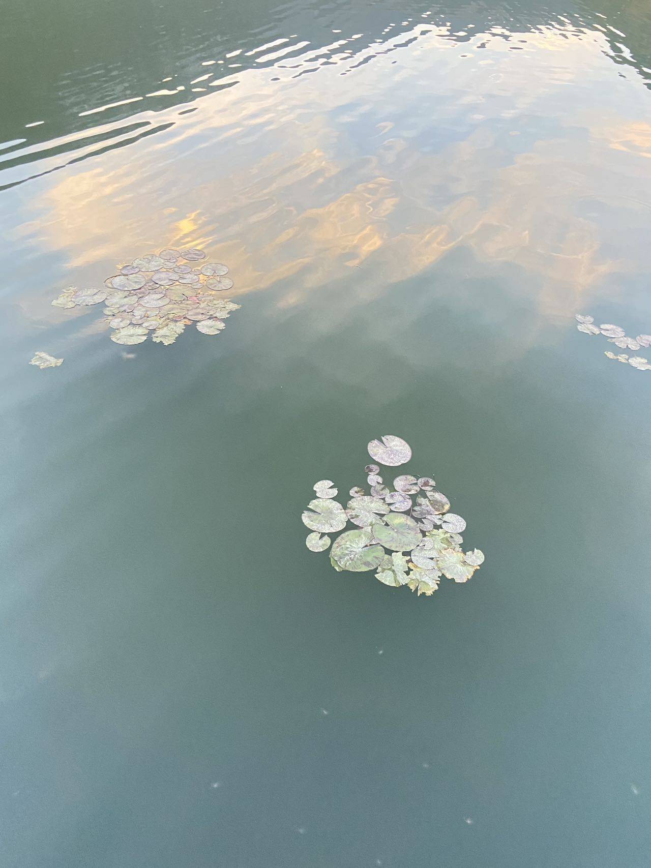 一一