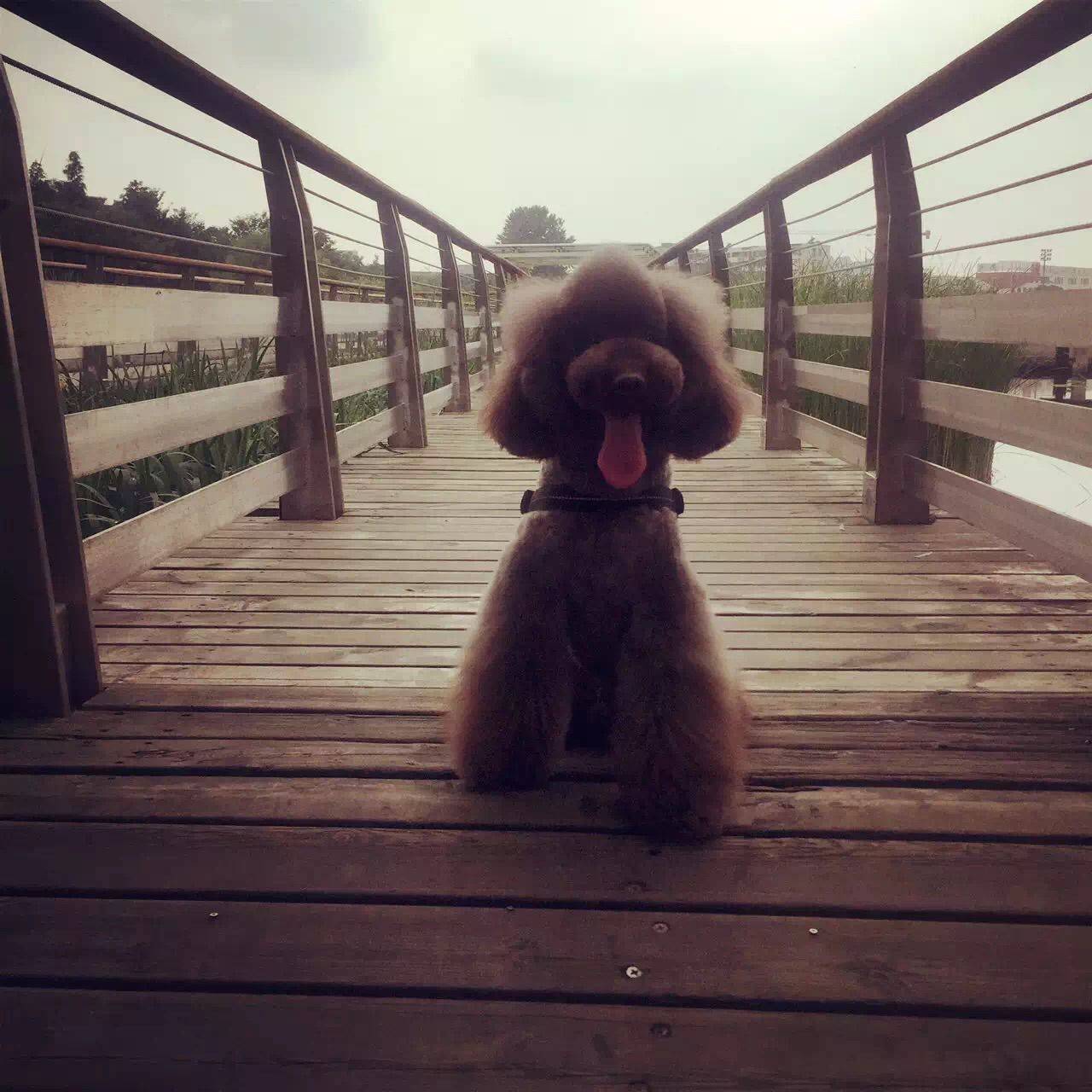 出差好烦