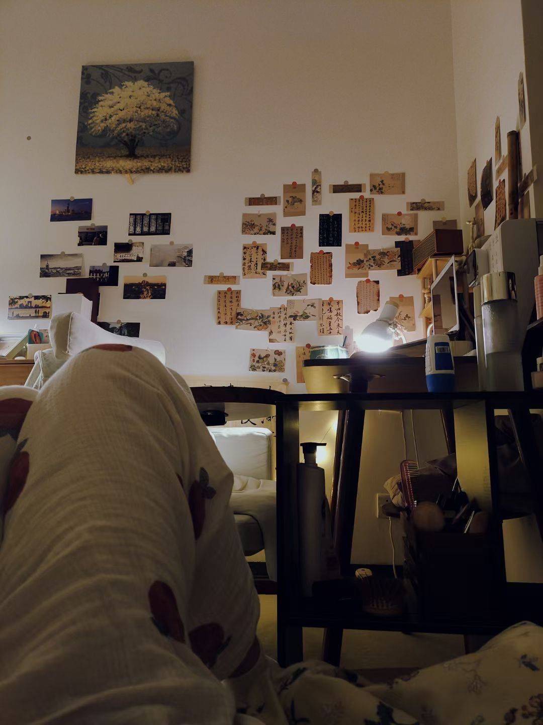 Chengdu-JinJiang-Cozy Home,Hustle & Bustle,Chilled