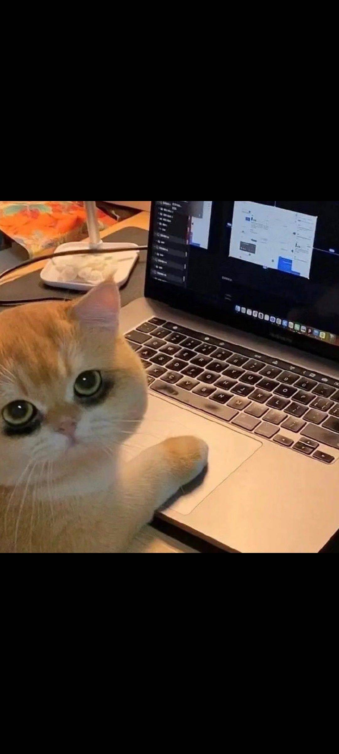 。