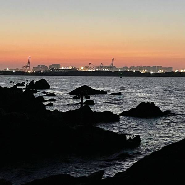 波力小波
