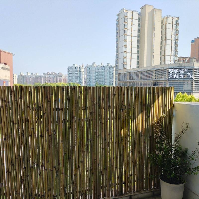 Shanghai Minhang | 江南苑-5号楼_2