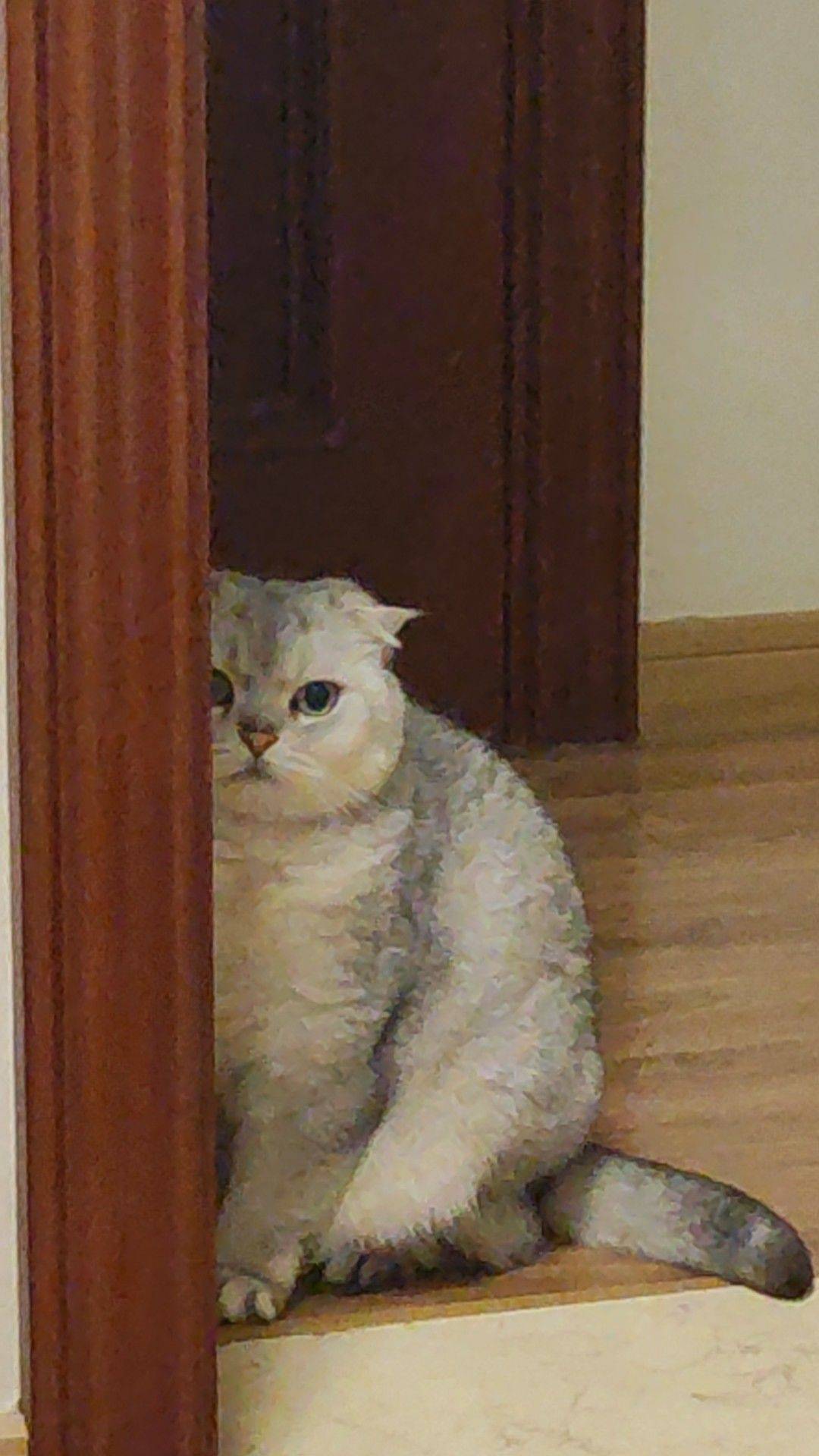 南方花园个人无中介