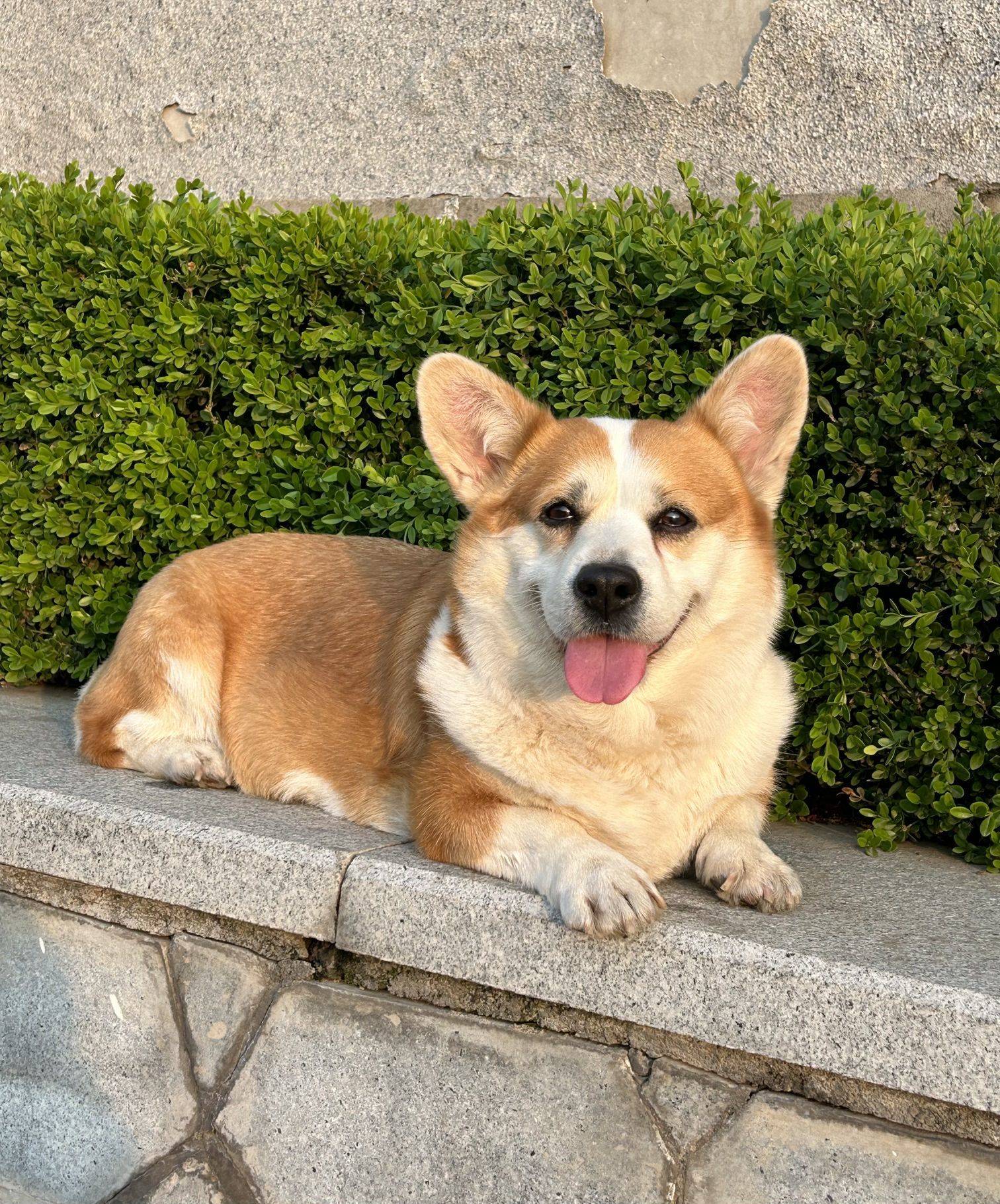 天天