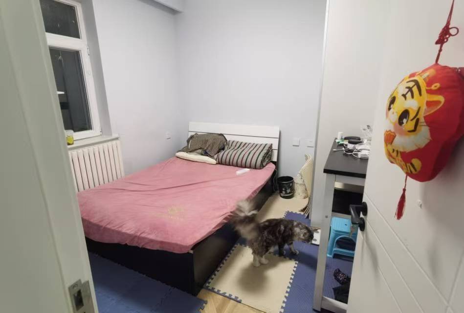 北京-石景山-溫馨小窩,不限性別,老友記,寵物友好