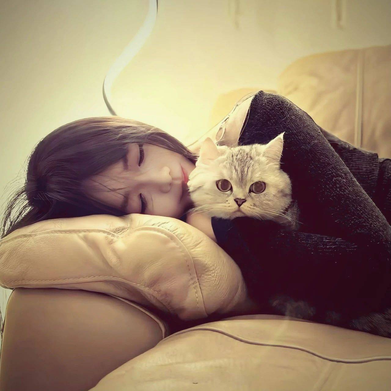 💤