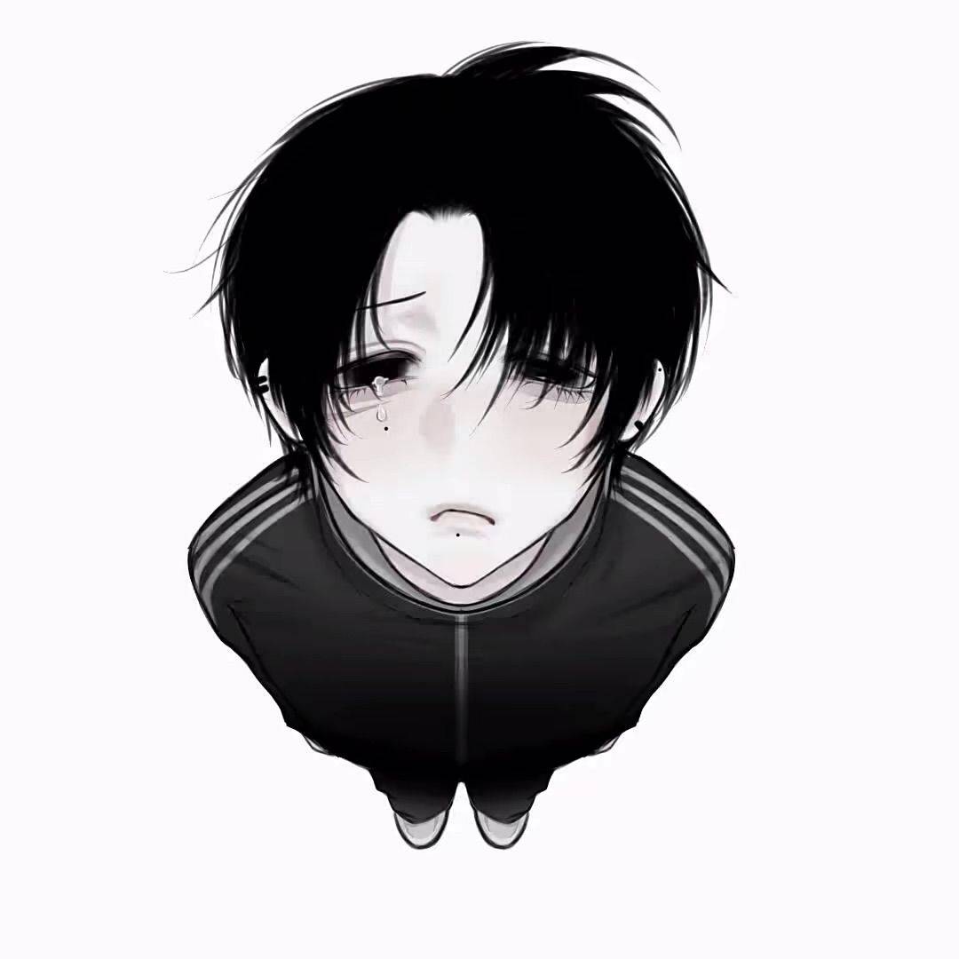 小y