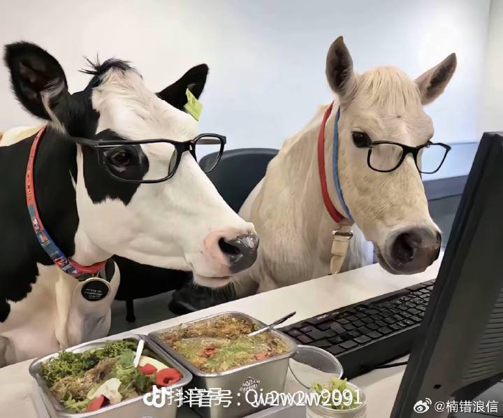 牧羊人