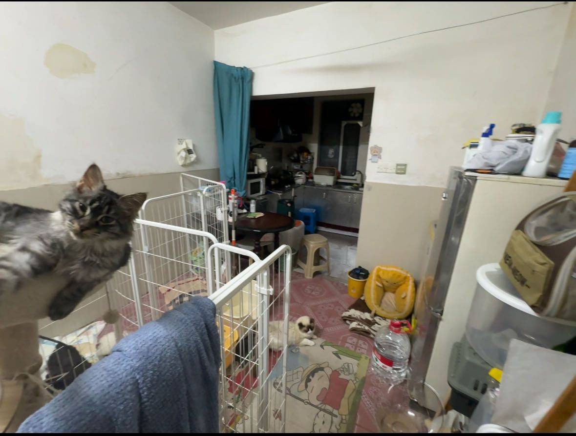 Hangzhou-Gongshu-Cozy Home,No Gender Limit,Hustle & Bustle,“Friends”,Pet Friendly