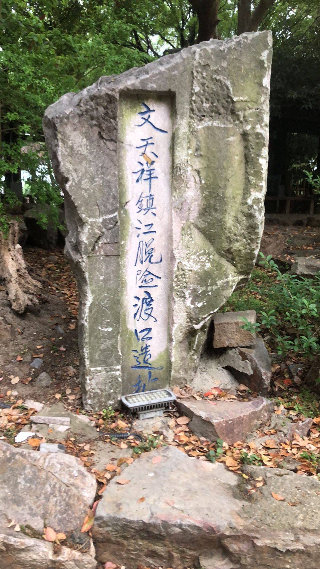 乐菲