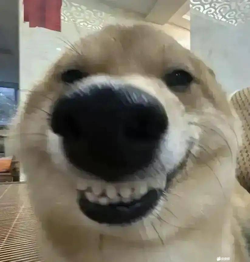 才