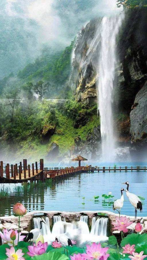 爱吃鱼的汪先生