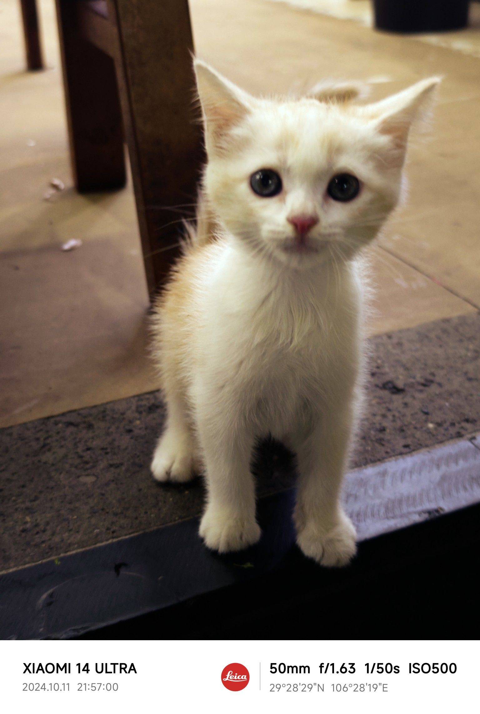 life_photo_2