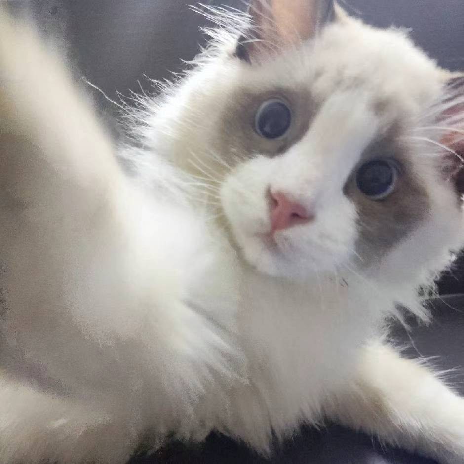 。