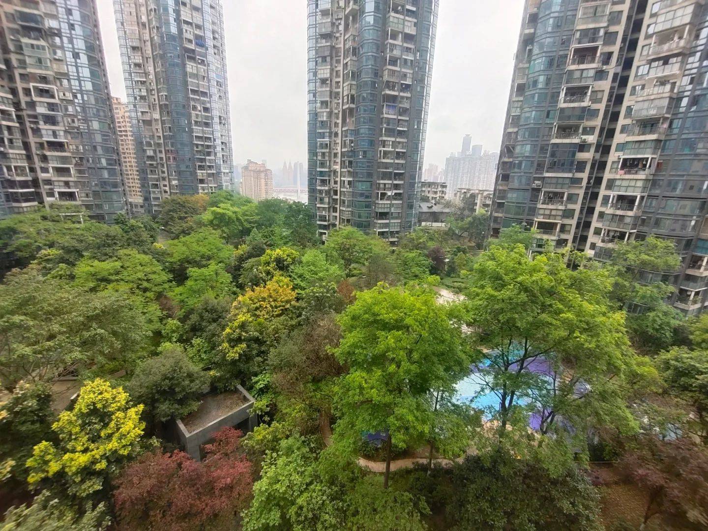 南岸 聚丰江山天下