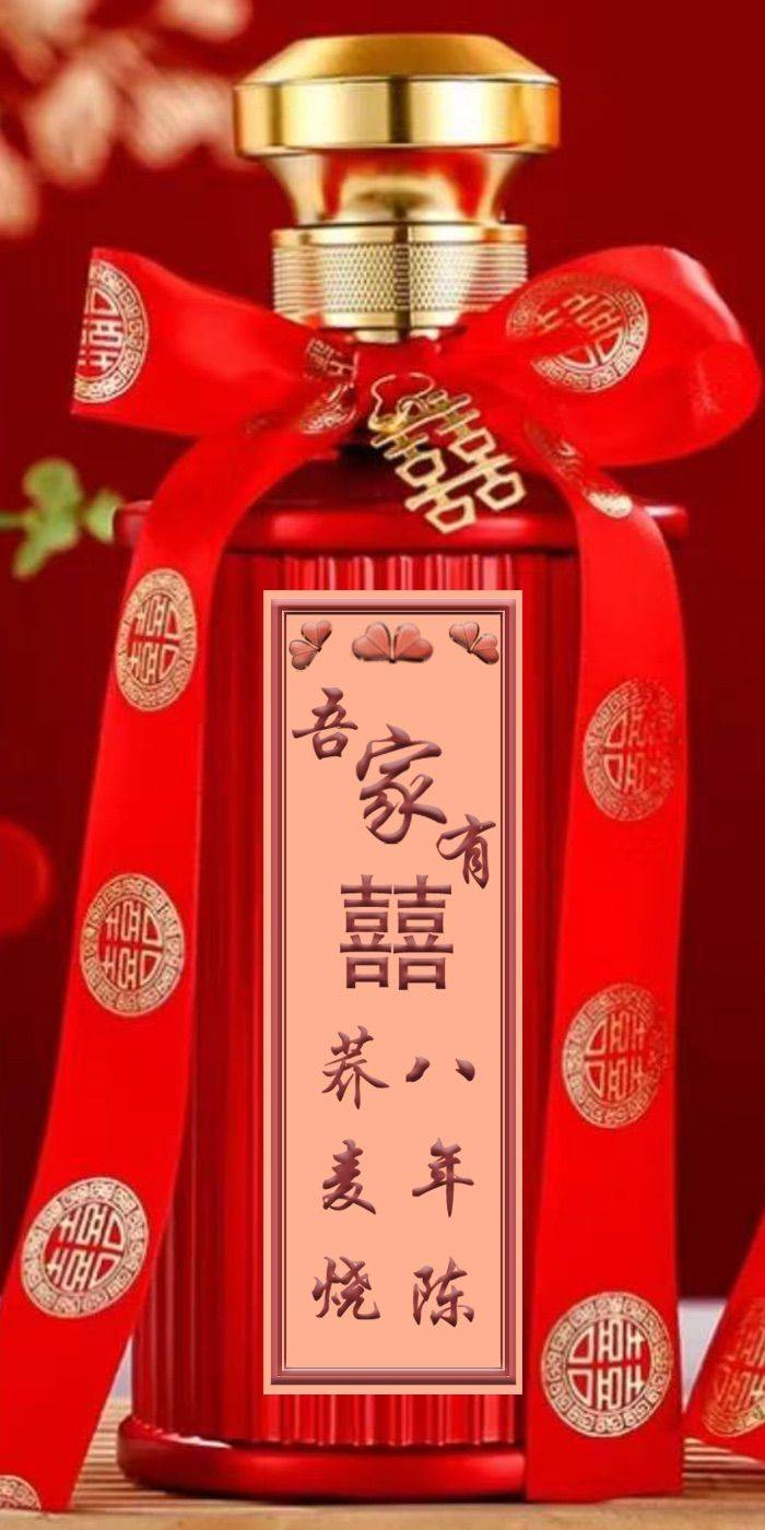 海上钢琴师（房东阿姨）