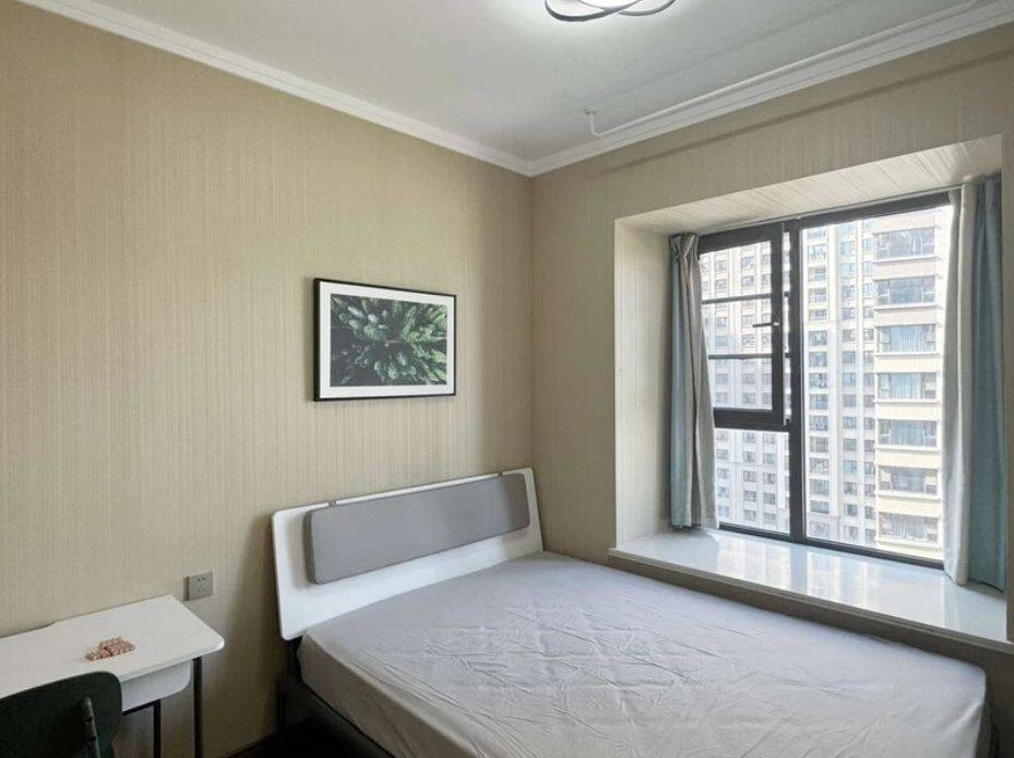 武汉-洪山-温馨小窝,干净治愈,不限性别,宠物友好