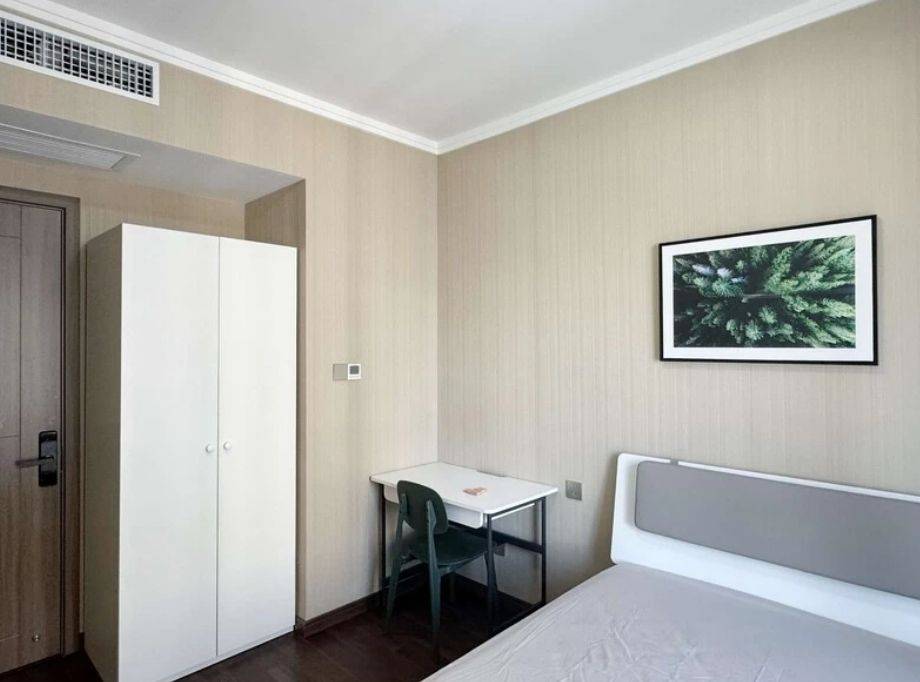 武汉-洪山-温馨小窝,干净治愈,不限性别,宠物友好